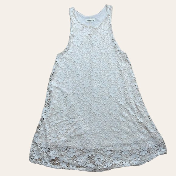 Ginger G A-Line Dress Medium M Cream Full Lace Lined Knee Length Stretch - Picture 9 of 16